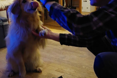 2023-11-06-1913_Gode_1-Hund_Emily-People_Soeren-Labansen