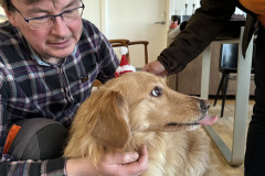 2023-12-25-1512_Gode_1-Hund_Emily-People_Soeren-Labansen