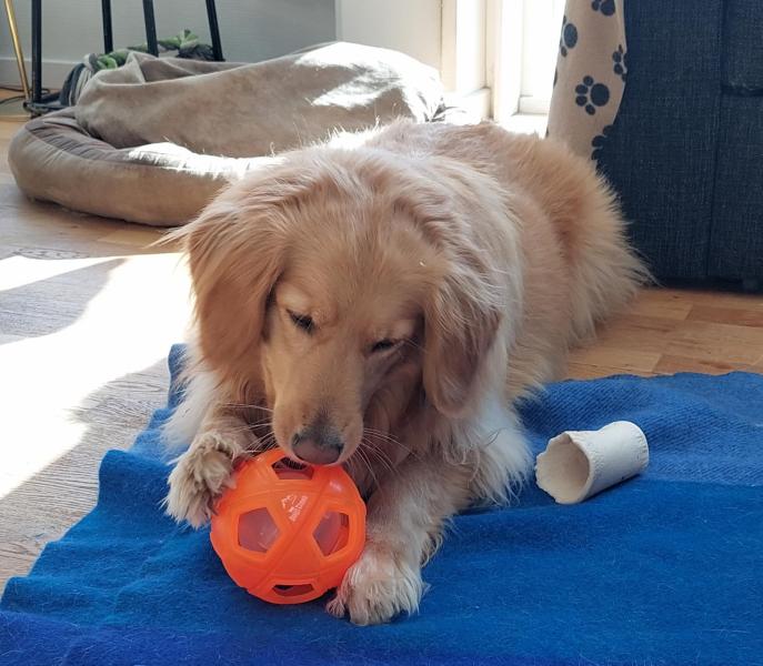 Emily leger med sit nye legetøj