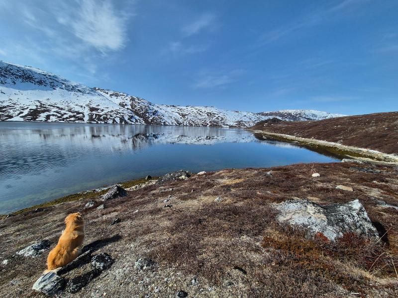 Så langt kunne jeg zoome