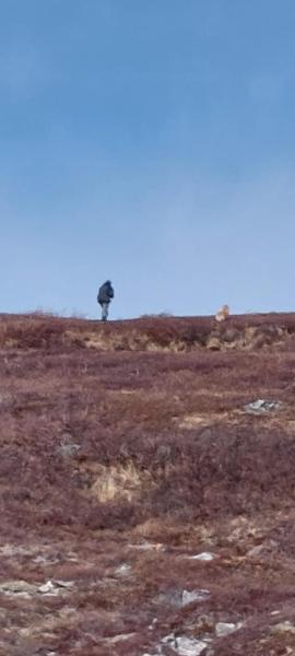 Søren og Emily går efter nogle dyr i Præstefjorden