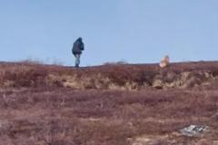 Søren og Emily går efter nogle dyr i Præstefjorden