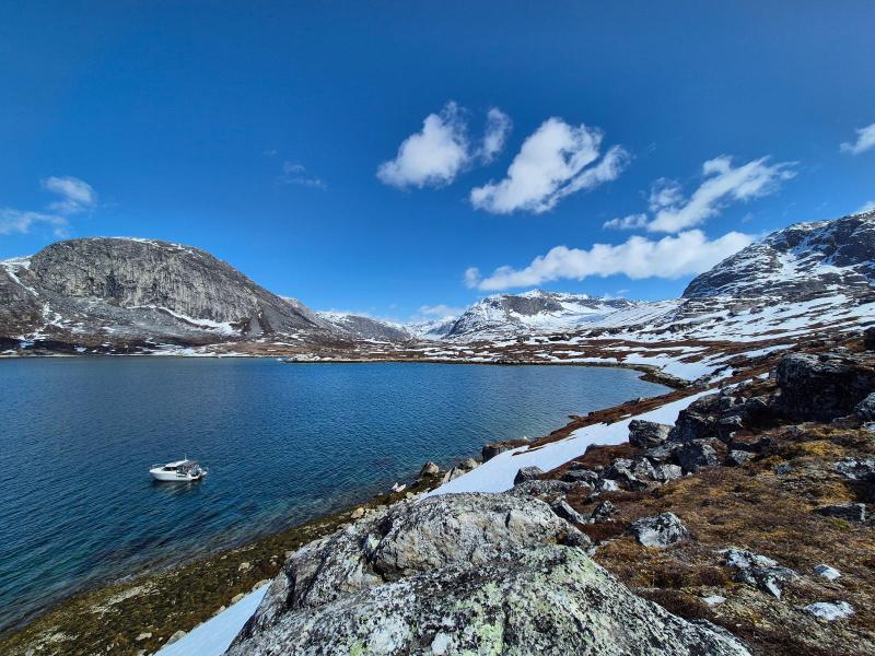 2024-05-25_15_29__Gode_1__11