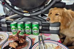 2024-06-01_18_39__Hund_Emily__45