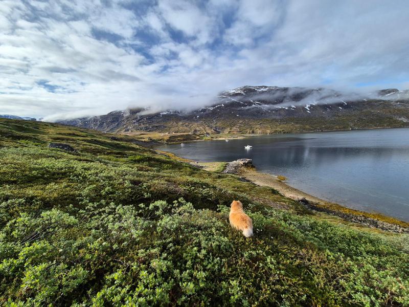 2024-07-13_09_11__Hund_Emily__14