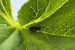 2024-07-13_14_23__Gode_2__19