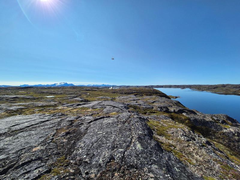 2024-08-01_12_07__Insekt_Myg__12