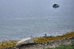 2024-08-10_16_49__Baad_Maru__9