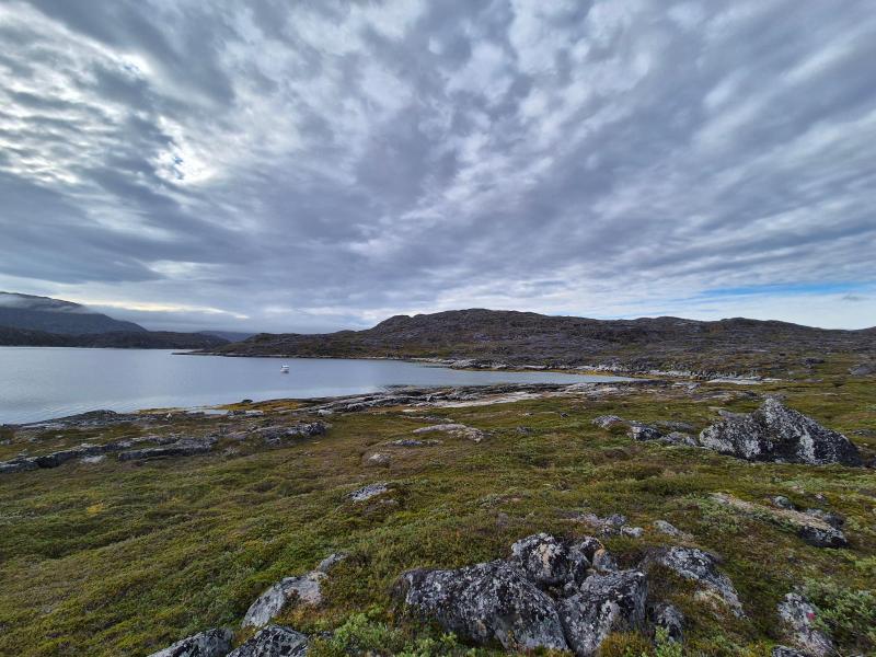 2024-08-17_09_36__Baad_Maru__3