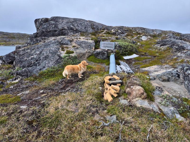 2024-08-02_18_35__Hund_Emily__