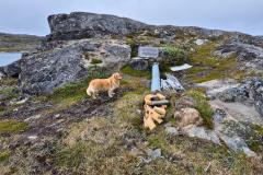2024-08-02_18_35__Hund_Emily__