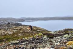 Oppe ved søen inde i Oqummiaq