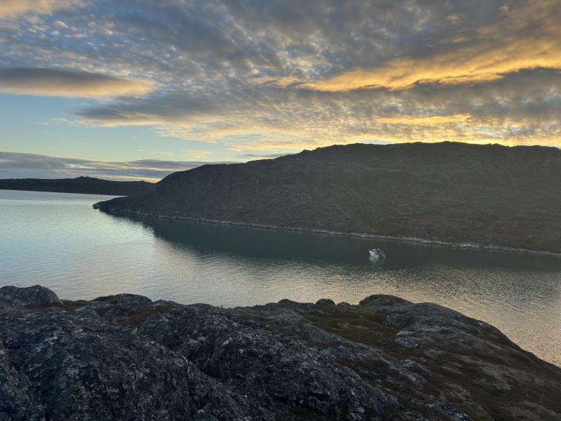 2024-09-13_20_22_3178270_Hund_Emily-Gode_3__37