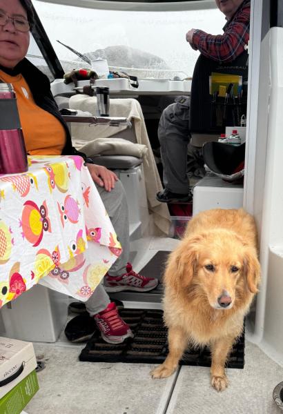 2024-09-14_09_59_384_Hund_Emily-Soeren-Labansen-Anna-Hessler-Labansen-Gode_1__47