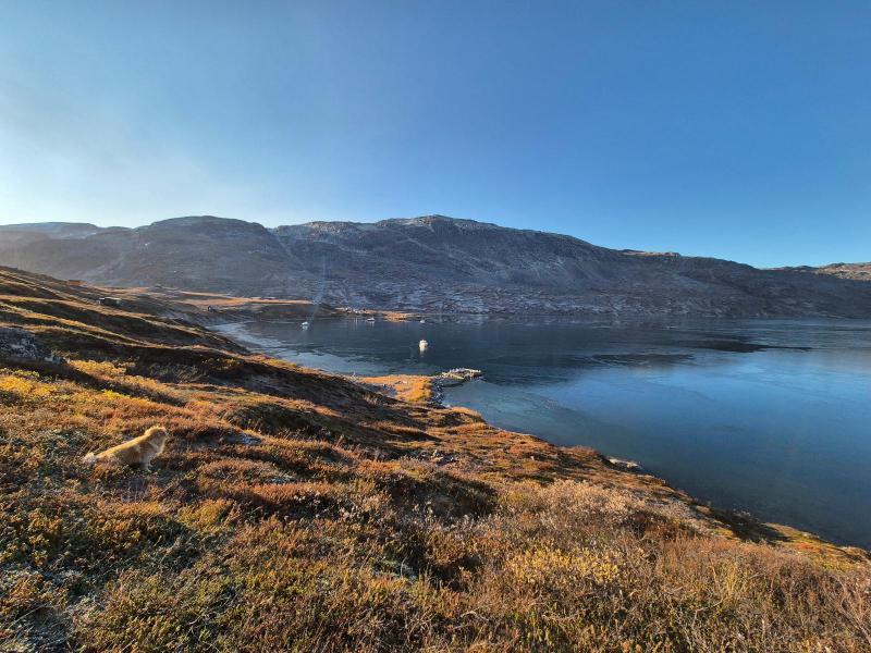 2024-10-05_10_47__Baad_Maru__6