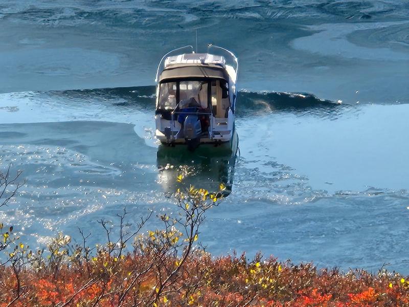 Maru i nyis i Præstefjorden