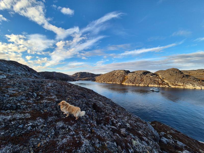 2024-10-06_10_38__Skibskirkegaard__45