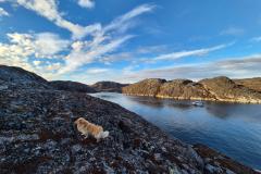 2024-10-06_10_38__Skibskirkegaard__45