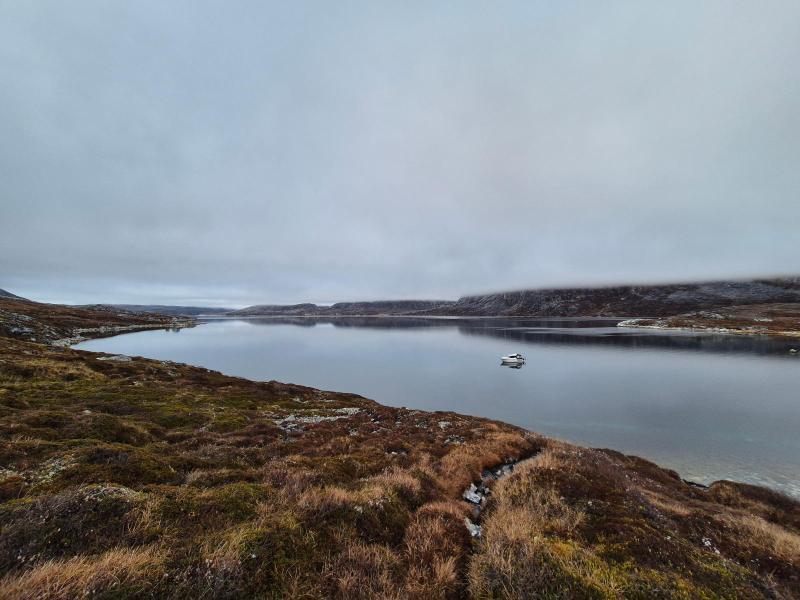 2024-10-10_13_57__Baad_Maru__2