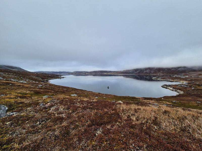 2024-10-10_15_13__Baad_Maru__5