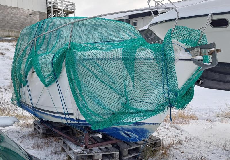 Maru er pakket ind for vinteren