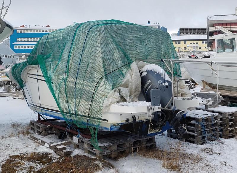 Maru er pakket ind for vinteren