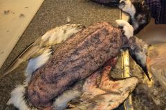 2024-11-16_13_09_216___10