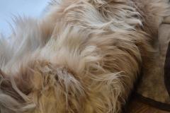 2025-01-01_12_57_266_Emily__ 2025-01-01_12_57_266_Emily__