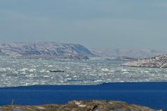 Is fra gletcheren inde i Nuuk Fjorden samler sig foran Nuuk