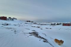2025-02-25_10_07_318_Qinnqorput-bugten__