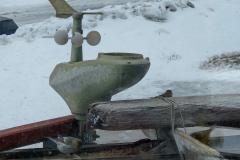 2025-03-09_13_49_252_Spurv__