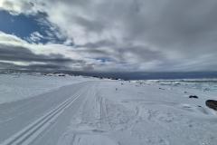 Forårssol i Nuuk Fjorden