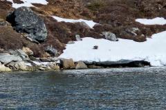 2025-05-30_13_34_Gode_3Havoern_Gode_3__15