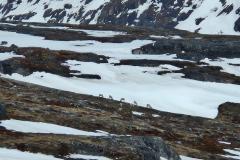 2025-05-15_18_44_270_Gode_2__6
