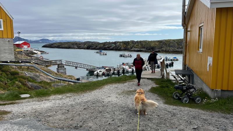 Der tankes og leget turist i Kangaamiut