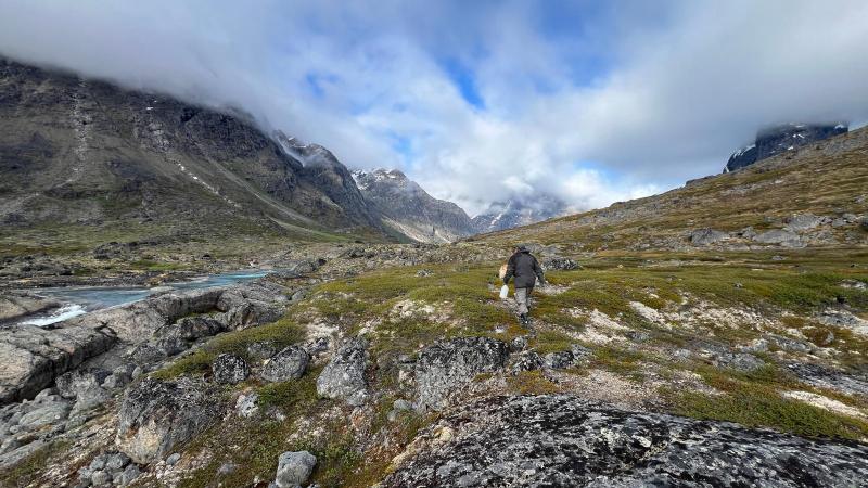 Inde i bunden af Hamburger Sund