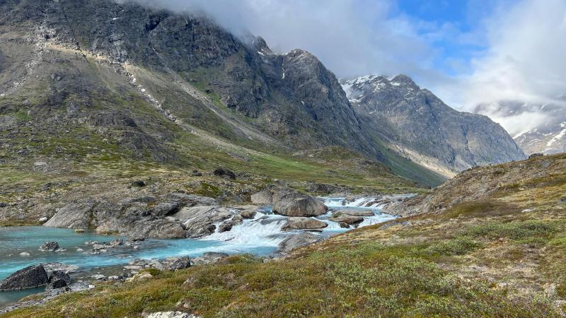 Inde i bunden af Hamburger Sund