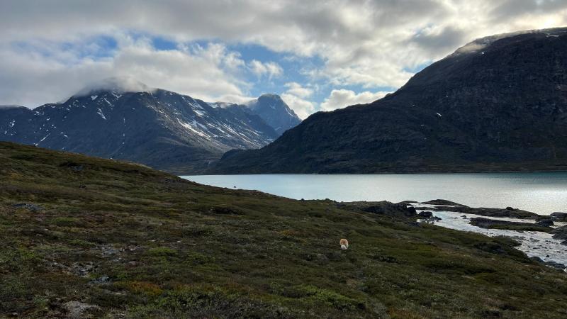Inde i bunden af Hamburger Sund