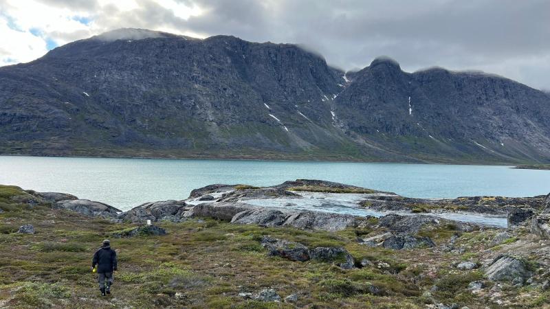 Inde i bunden af Hamburger Sund