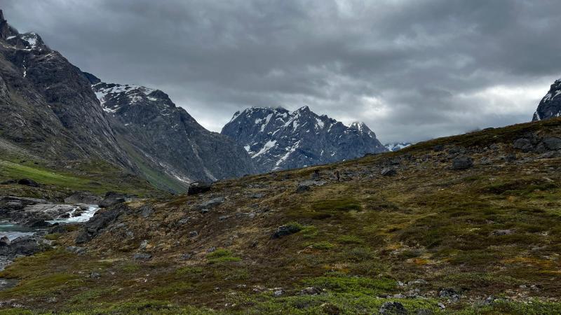 Inde i bunden af Hamburger Sund