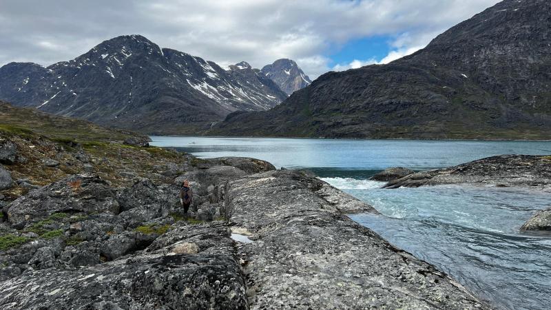 Inde i bunden af Hamburger Sund