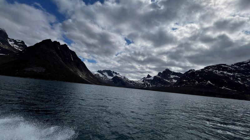 Sidefjord til Hamburger Sund - mange alke og måger på fuglefjeld