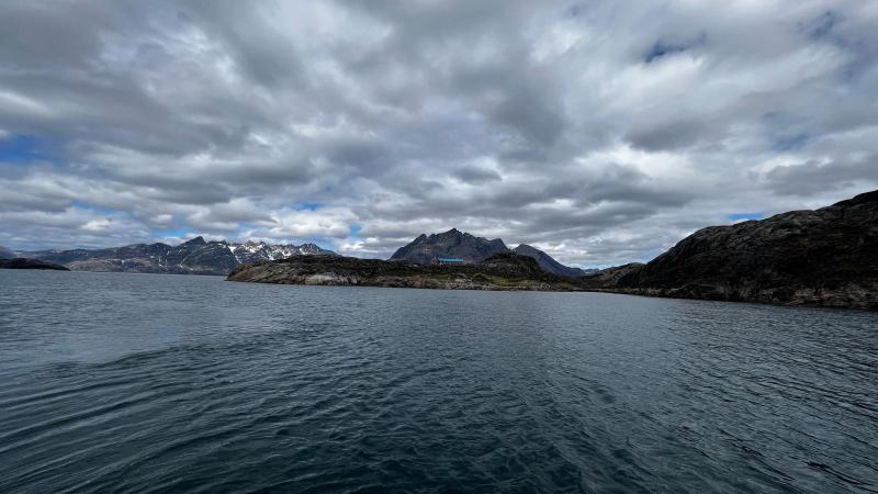Sidefjord til Hamburger Sund - mange alke og måger på fuglefjeld