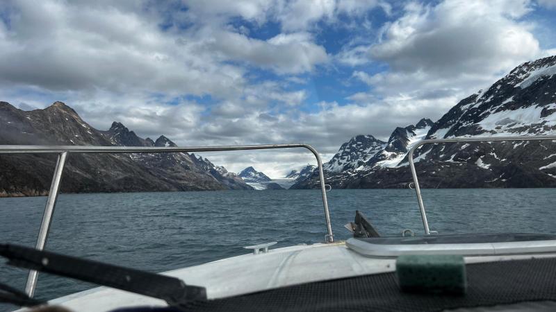 Sidefjord til Hamburger Sund - mange alke og måger på fuglefjeld