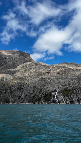 Sidefjord til Hamburger Sund - mange alke og måger på fuglefjeld