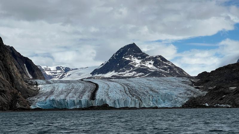 Sidefjord til Hamburger Sund - mange alke og måger på fuglefjeld