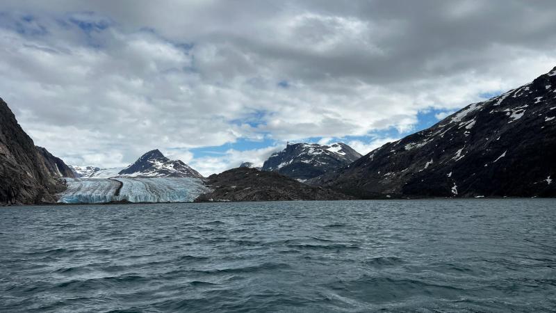 Sidefjord til Hamburger Sund - mange alke og måger på fuglefjeld