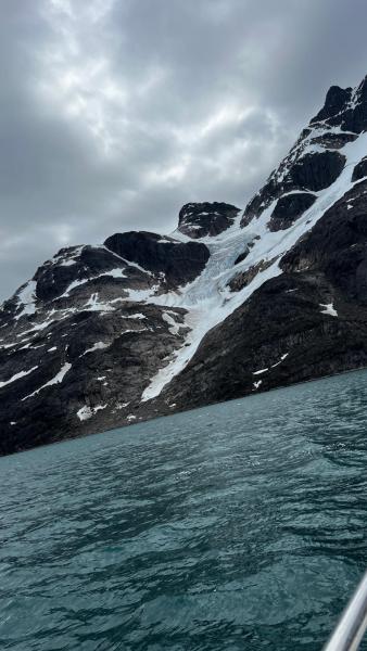 Sidefjord til Hamburger Sund - mange alke og måger på fuglefjeld
