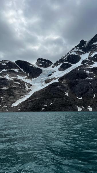 Sidefjord til Hamburger Sund - mange alke og måger på fuglefjeld