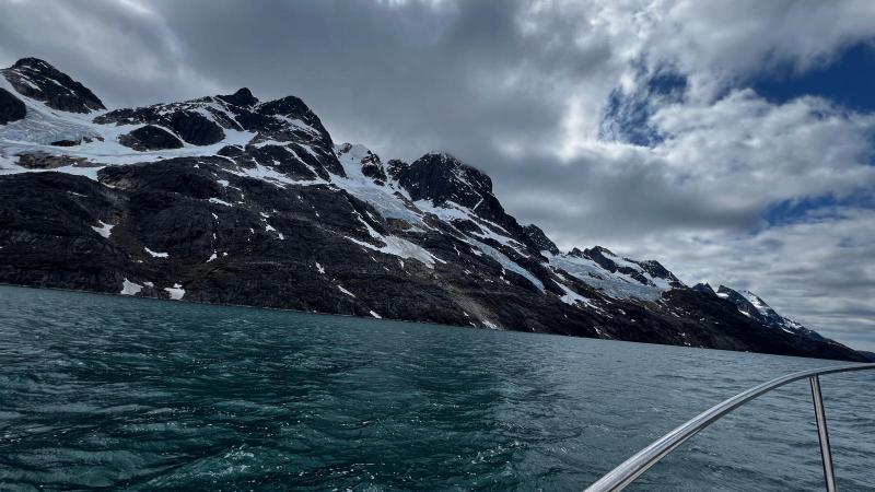 Sidefjord til Hamburger Sund - mange alke og måger på fuglefjeld